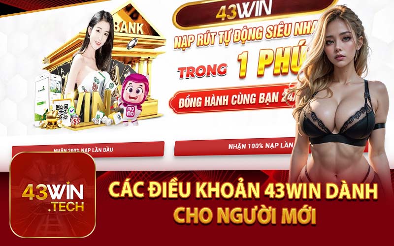 Các Điều Khoản 43Win Dành Cho Người Mới